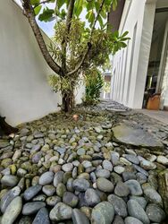 Goodman Road (D15), Semi-Detached #467223781